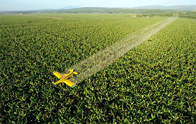 Ministra tenta flexibilizar uso de agrotóxicos, diz pesquisador